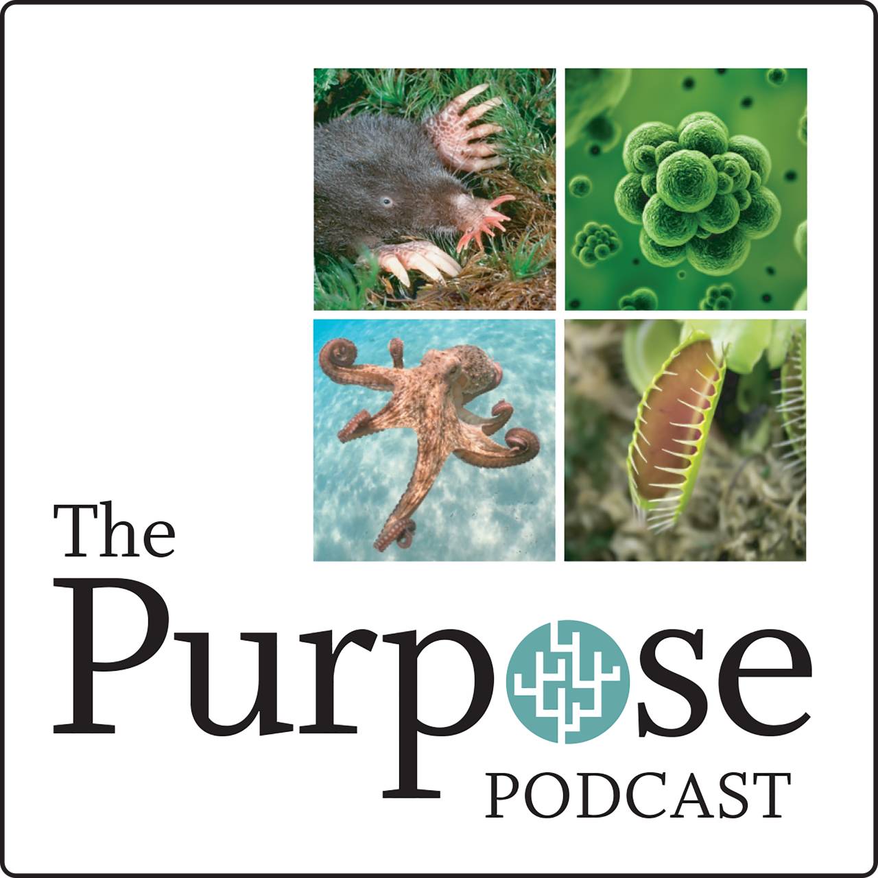 purpose podcast logo